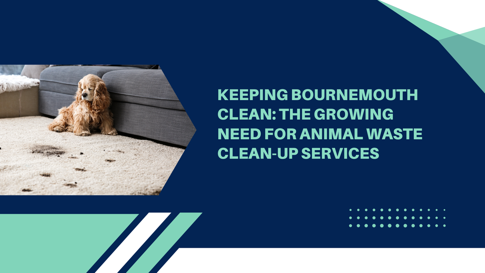 Keeping Bournemouth Clean: The Growing Need for Animal Waste Clean-Up Services